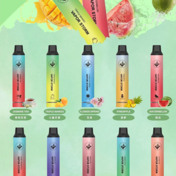 【VAPOR STORM】風暴系列 5000口拋棄式電子煙 10ml 650mAh可充電 Mesh芯 硬派金屬質感 現貨秒發