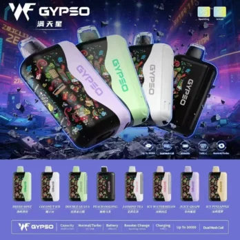 【GYPSO 滿天星】30000口拋棄式電子煙 14W-21W雙模式雙功率 Dual Mesh雙網芯 18ml巨量油艙 850mAh可充電 台灣現貨秒發